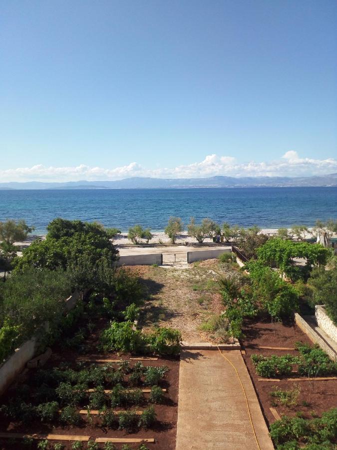 Apartments Zvonimir,Place By The Sea Mirca  Bagian luar foto