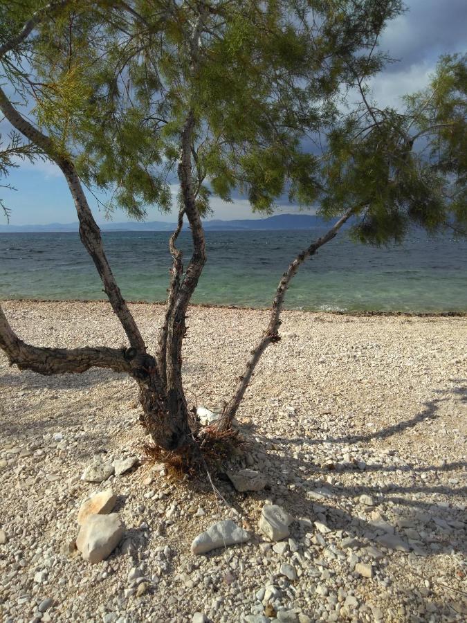 Apartments Zvonimir,Place By The Sea Mirca  Bagian luar foto